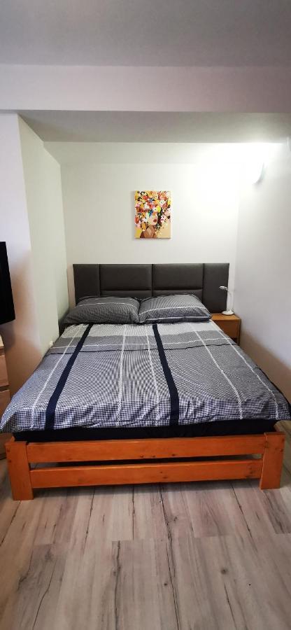 Zielony Zakatek Nowy Targ Bagian luar foto
